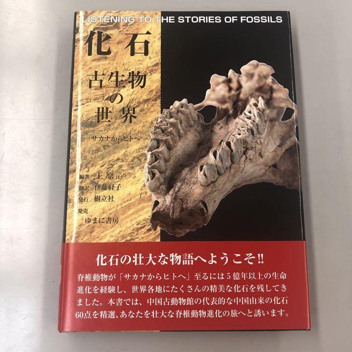 化石 古生物の世界 大型本 人文 化石 古生物の世界―サカナからヒトへ